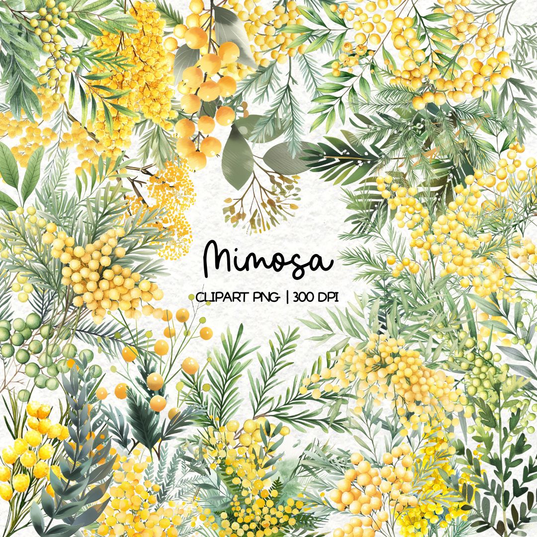 Mimosa | 32 Clipart PNG per scrapbooking die cuts fai da te