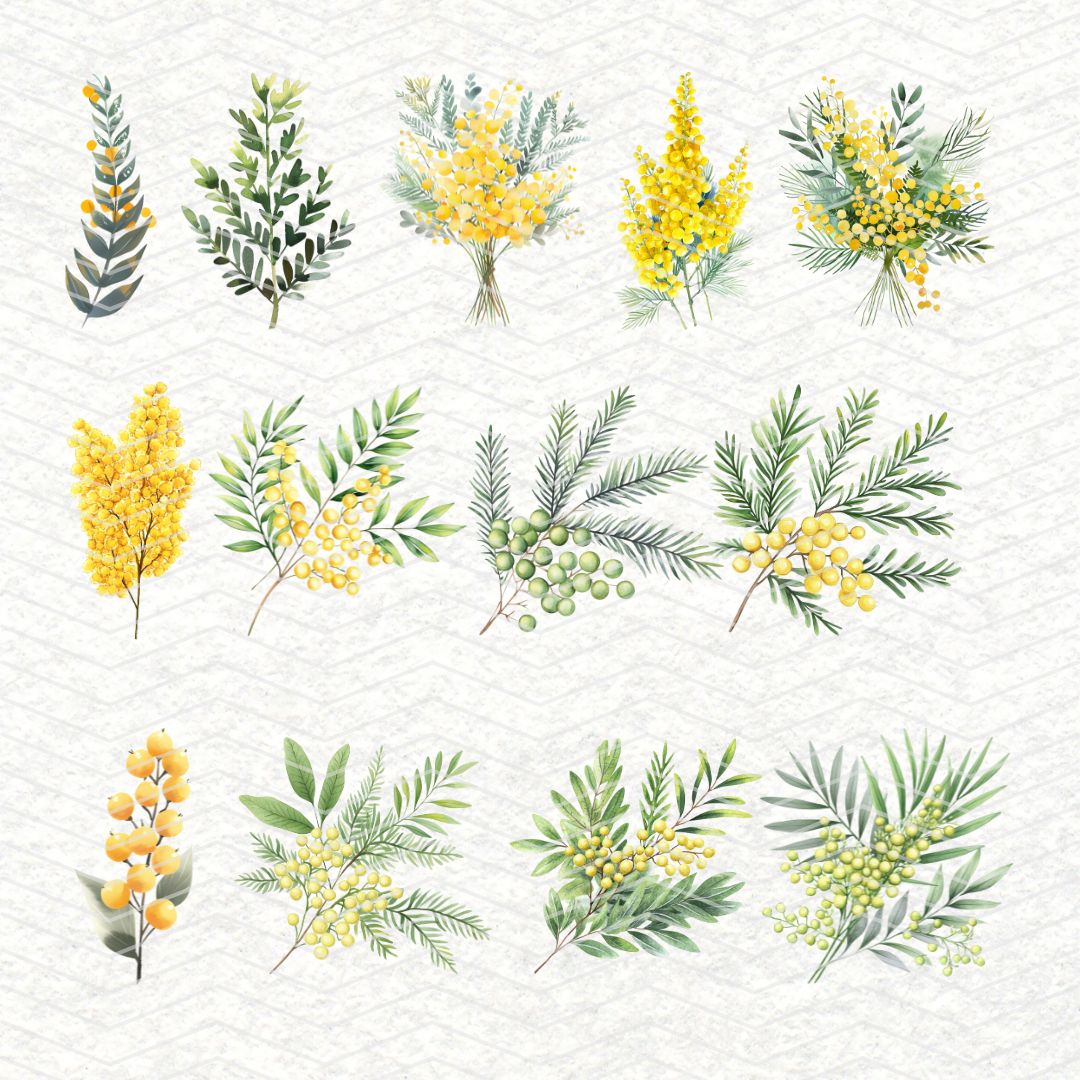 Mimosa | 32 Clipart PNG per scrapbooking die cuts fai da te