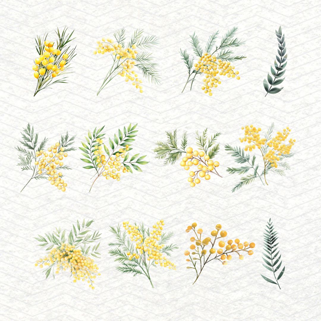 Mimosa | 32 Clipart PNG per scrapbooking die cuts fai da te