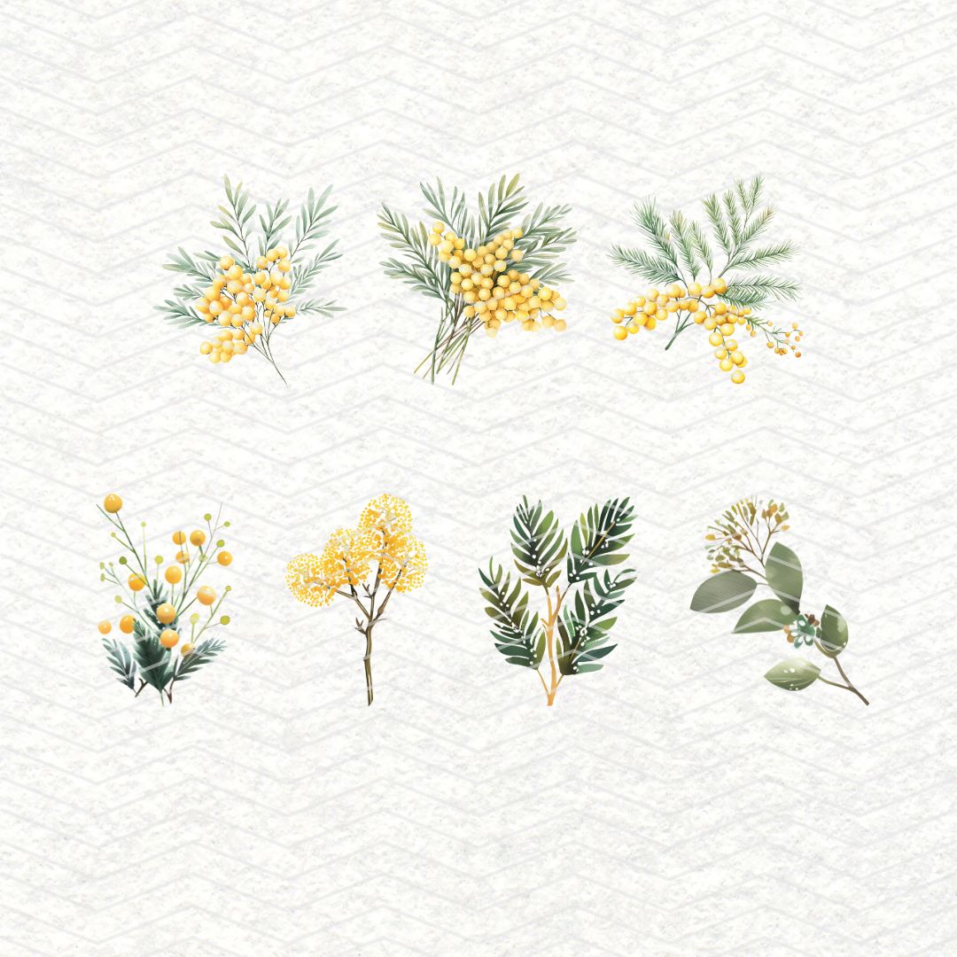 Mimosa | 32 Clipart PNG per scrapbooking die cuts fai da te